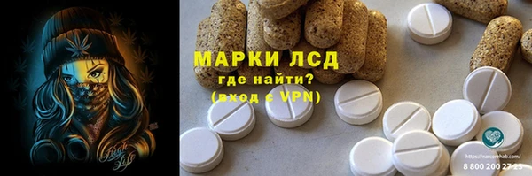 ГАЛЛЮЦИНОГЕННЫЕ ГРИБЫ Абаза