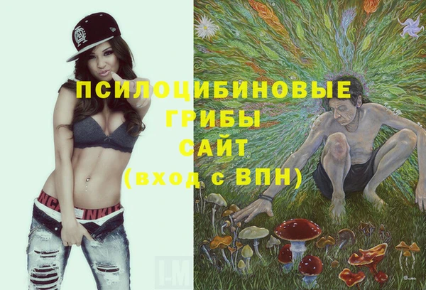 ГАЛЛЮЦИНОГЕННЫЕ ГРИБЫ Абаза
