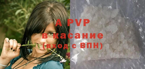 ГАЛЛЮЦИНОГЕННЫЕ ГРИБЫ Абаза