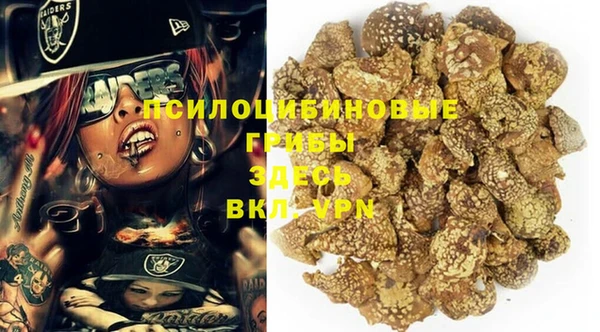 ГАЛЛЮЦИНОГЕННЫЕ ГРИБЫ Абаза